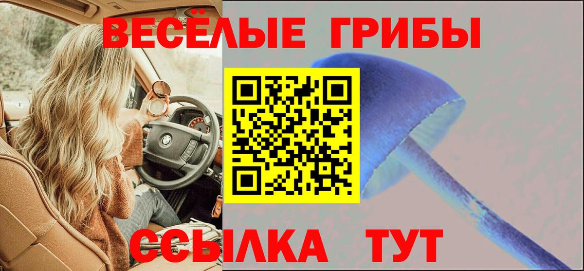 Галлюциногенные грибы Cubensis  Вход с VPN  Гурьевск  Псилоцибиновые грибы прущие грибы 