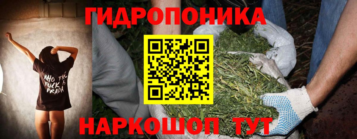 Гурьевск  Бошки марихуана конопля  Вход с VPN  Конопля планчик  Шишки марихуана ГИДРОПОН  Бошки Шишки Ganja 